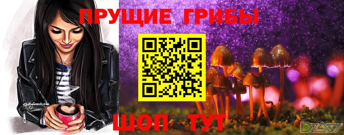 Ивантеевка  Псилоцибиновые грибы Psilocybe  Вход с VPN  Псилоцибиновые грибы MAGIC MUSHROOMS 