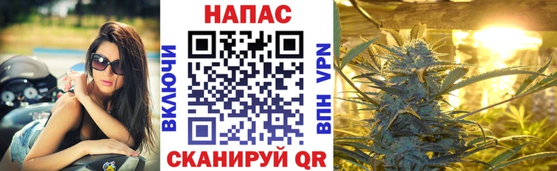 наркота  Ивантеевка  Бошки марихуана MAZAR 